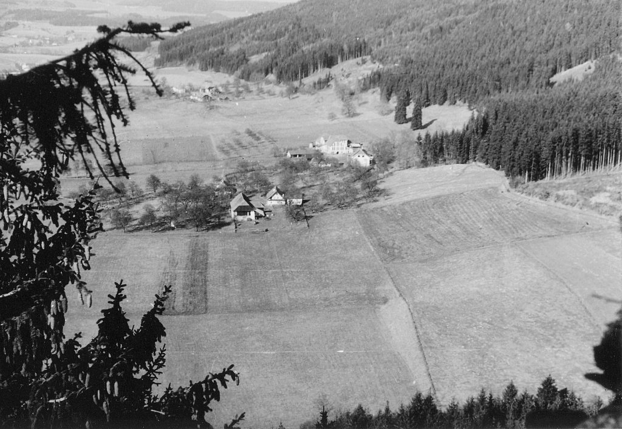 Wurzerhof-2000